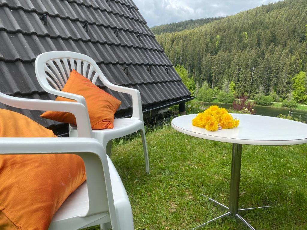 Haus Adler - Komplettes Ferienhaus Am Badesee Erzgrube Luaran gambar