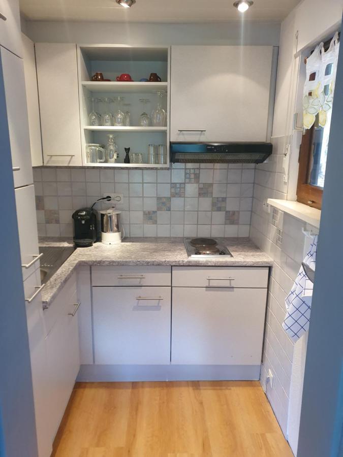 Haus Adler - Komplettes Ferienhaus Am Badesee Erzgrube Luaran gambar