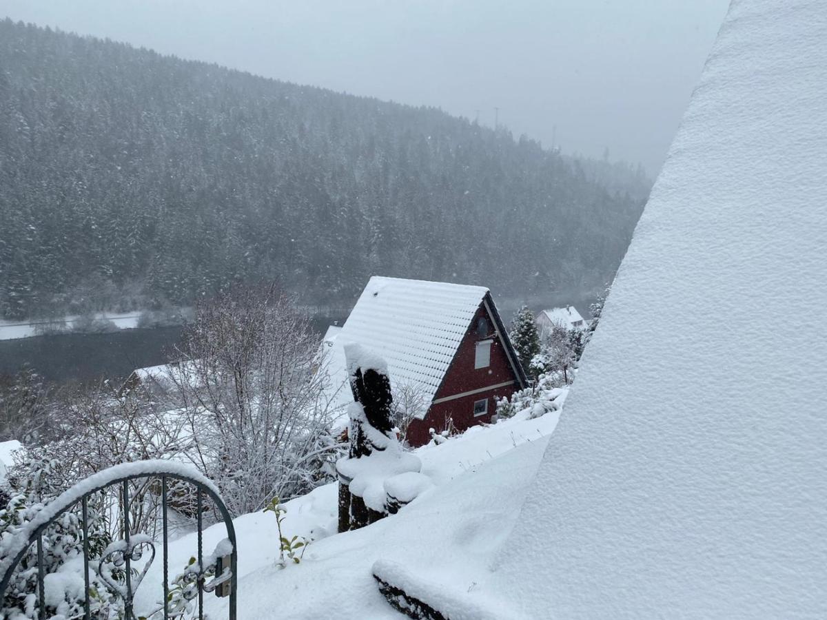 Haus Adler - Komplettes Ferienhaus Am Badesee Erzgrube Luaran gambar