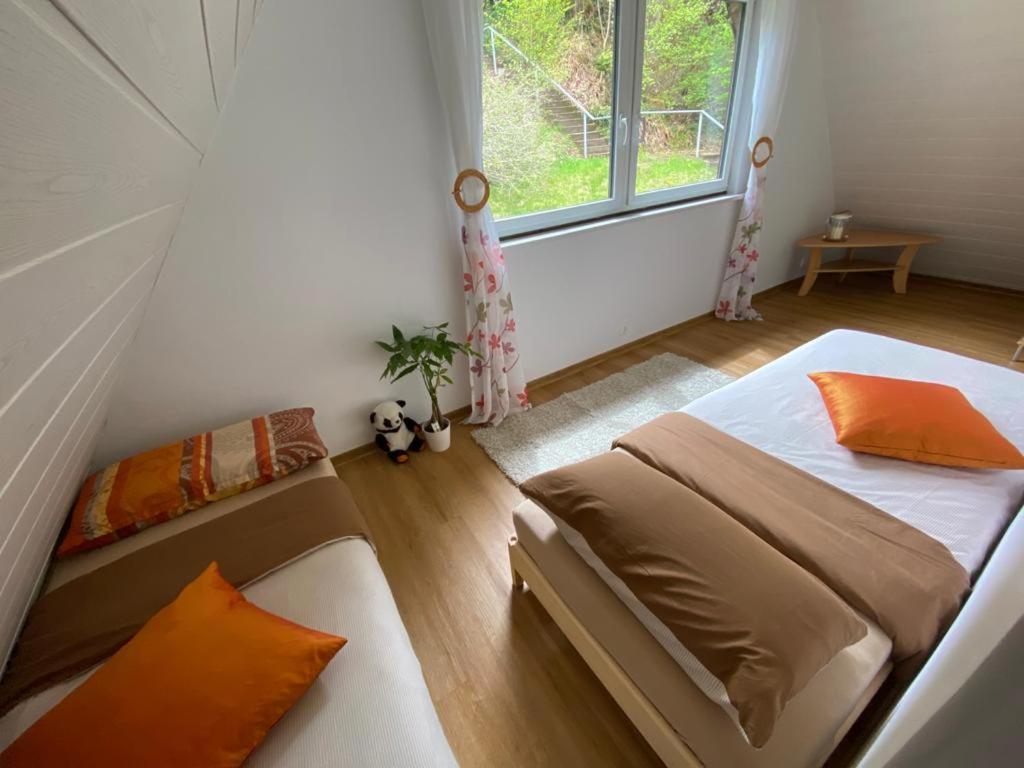 Haus Adler - Komplettes Ferienhaus Am Badesee Erzgrube Luaran gambar