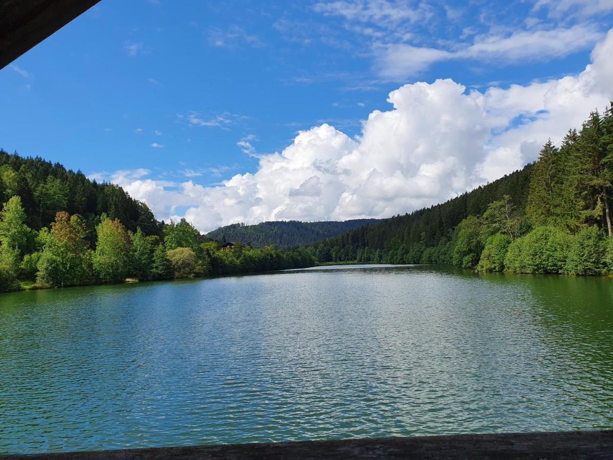 Haus Adler - Komplettes Ferienhaus Am Badesee Erzgrube Luaran gambar
